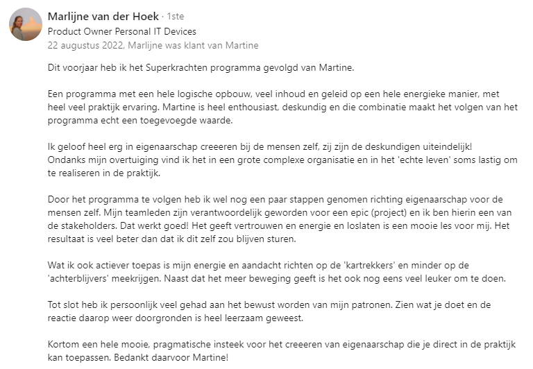 Mijn teamleden zijn verantwoordelijk geworden voor een project